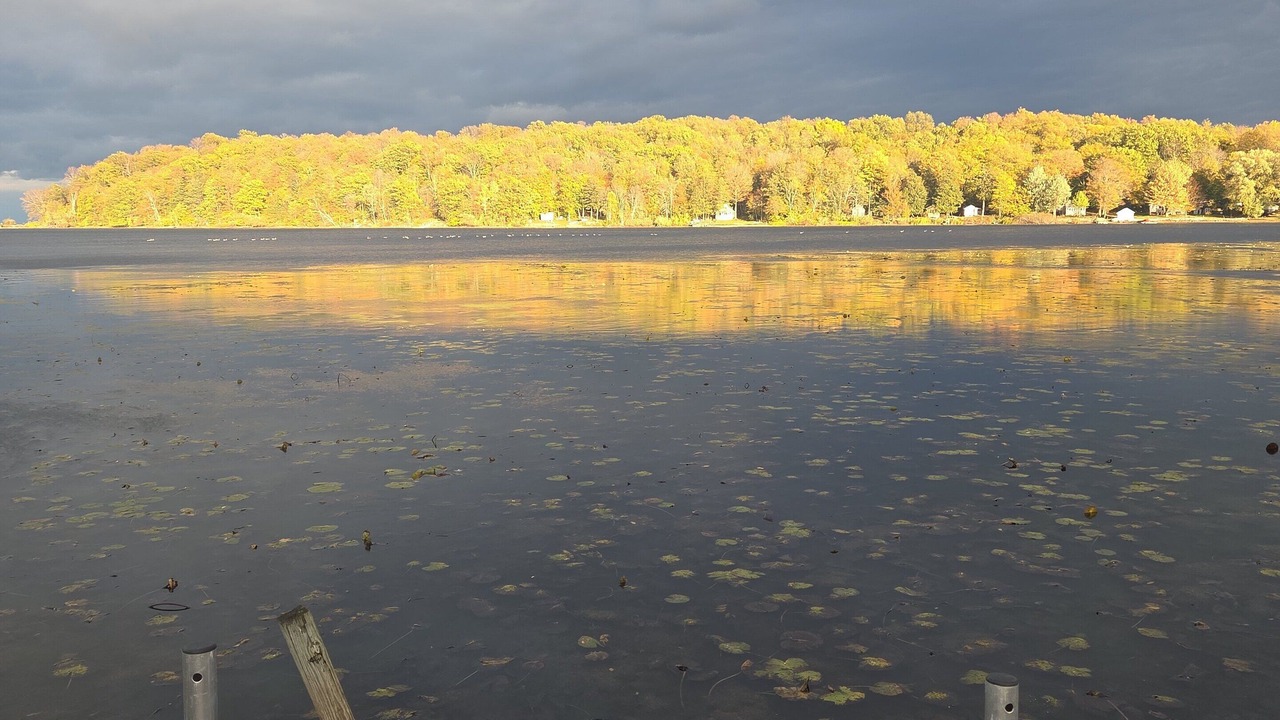 Photo of Others in Wolcott