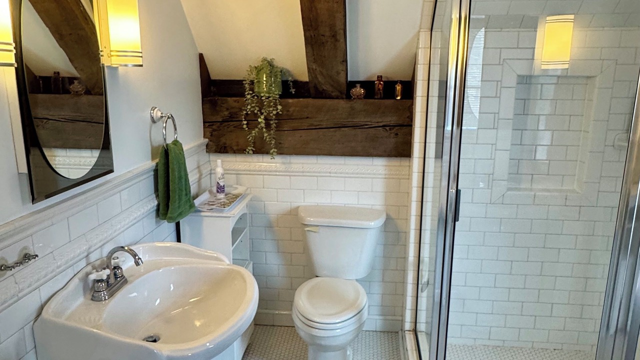 Photo of Bathroom in Hector