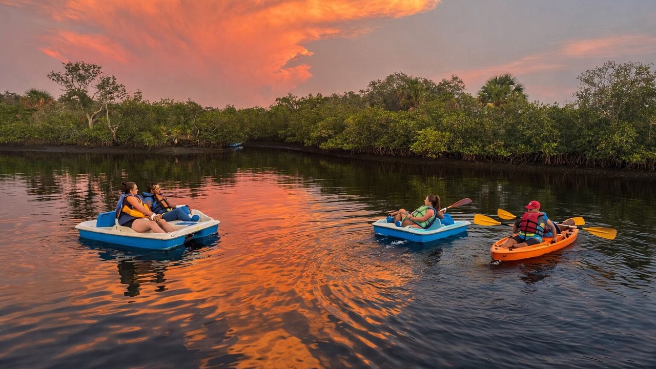 Photo of Others in Tampa