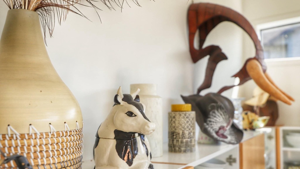 Photo of Others in Whitianga