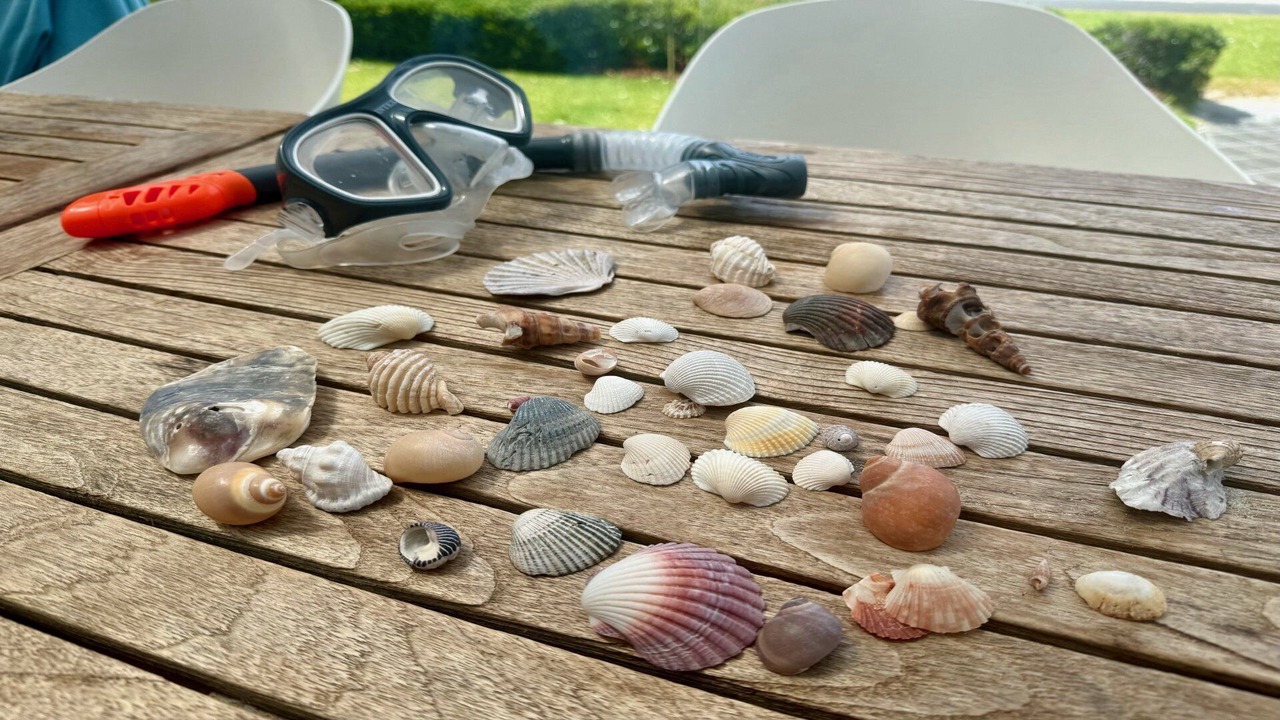 Photo of Others in Hawks Nest