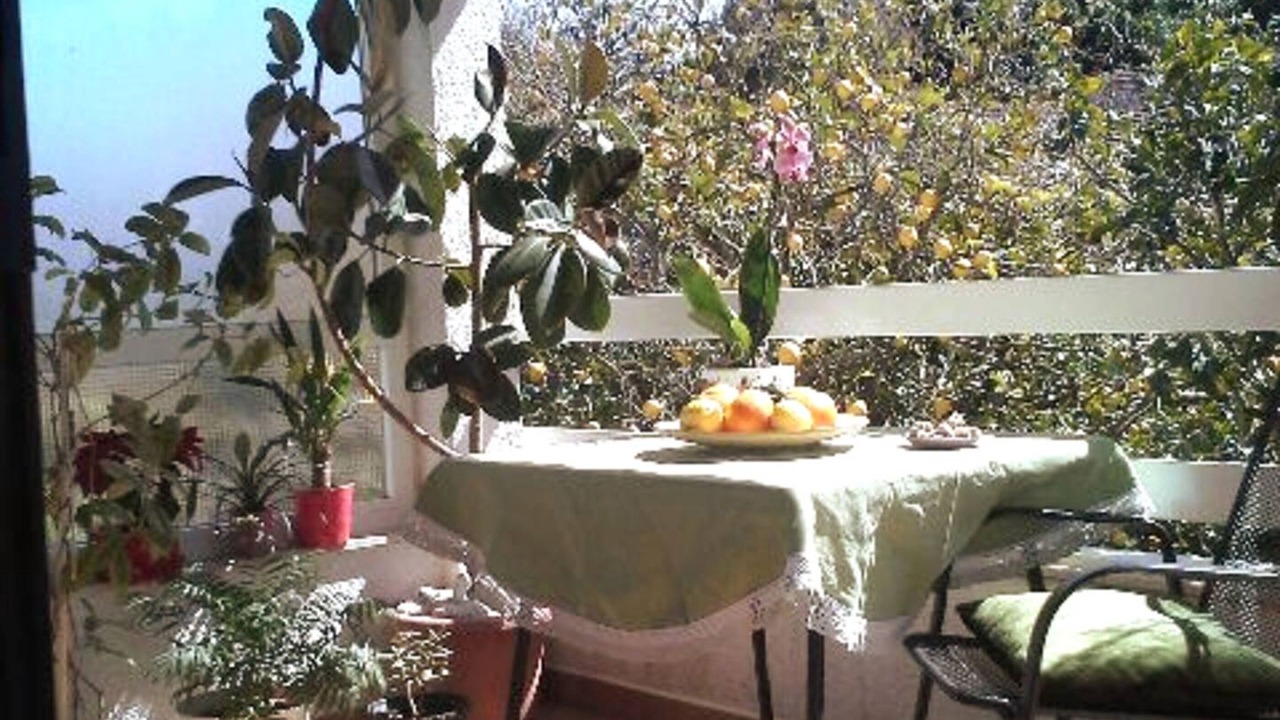 Photo of Outdoor in Loviste