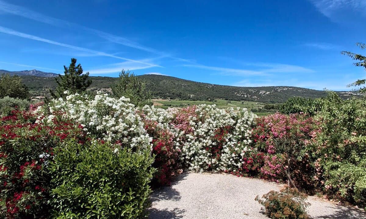 Photo of Outdoor in Montpeyroux