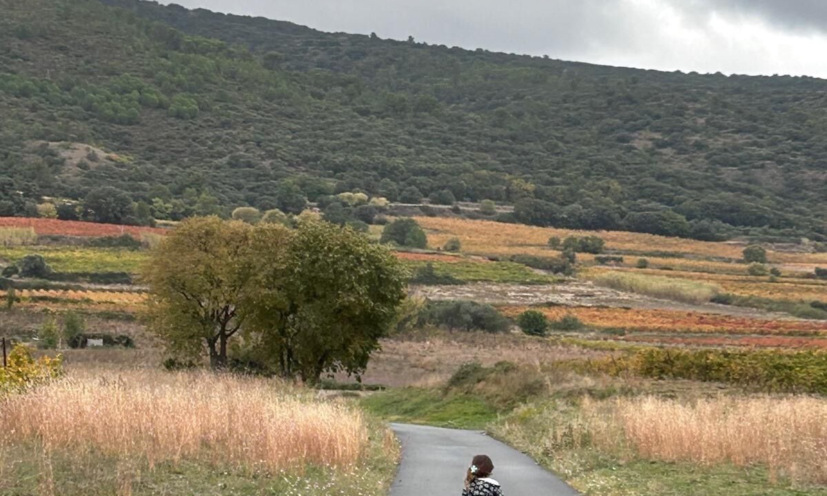 Photo of Others in Montpeyroux