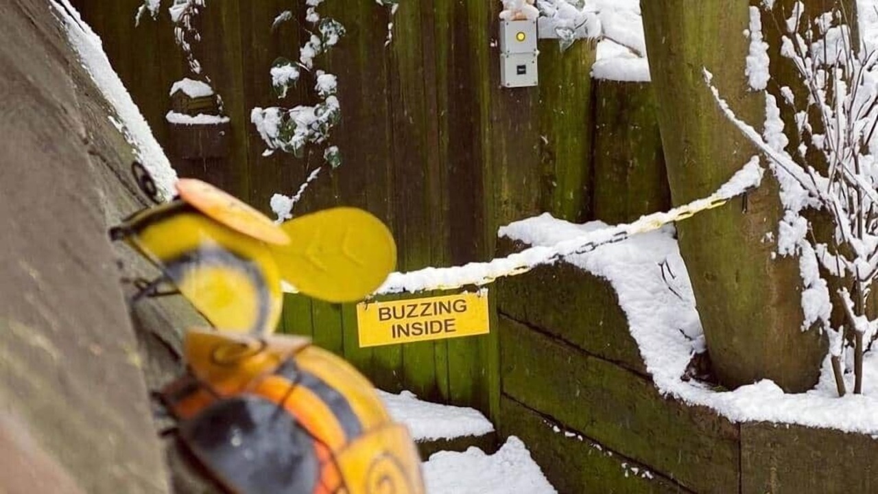 Photo of Others in Rickmansworth