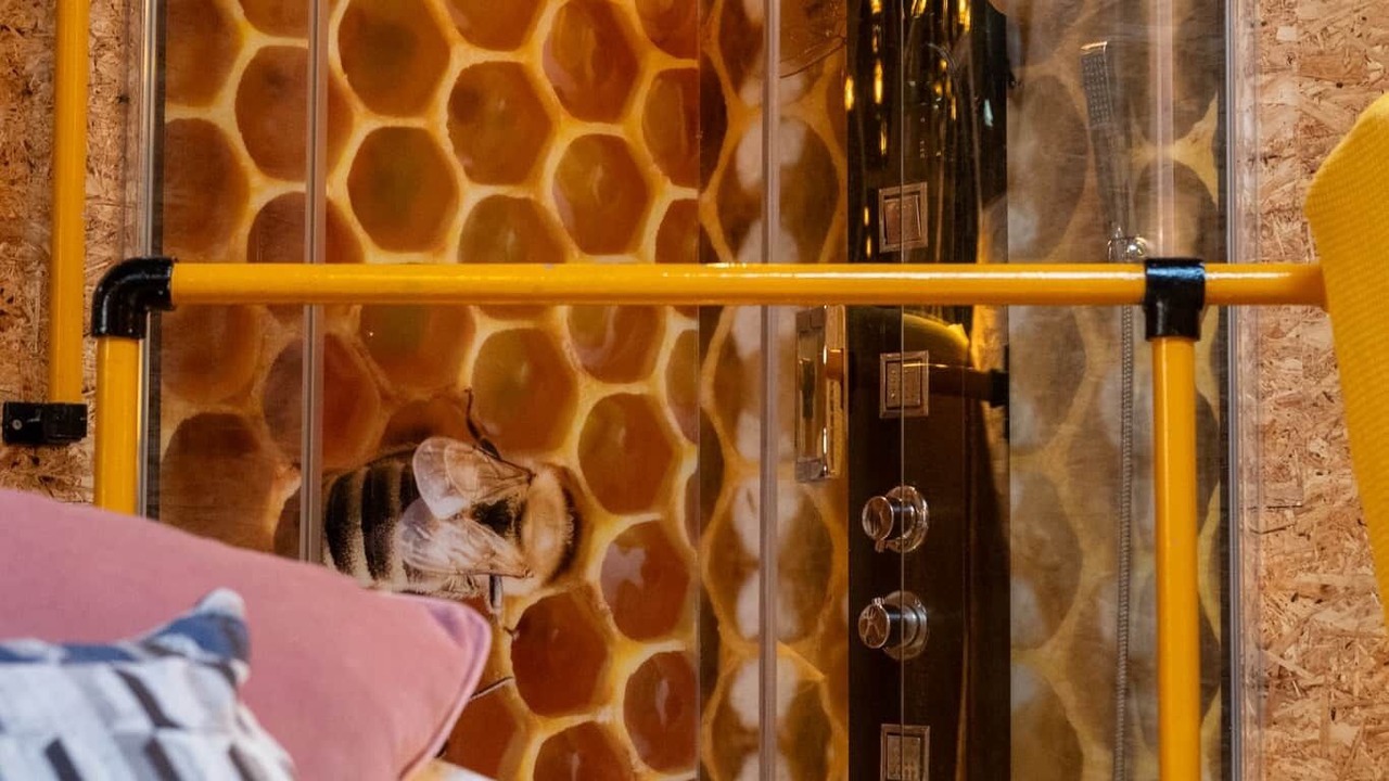 Photo of Others in Rickmansworth