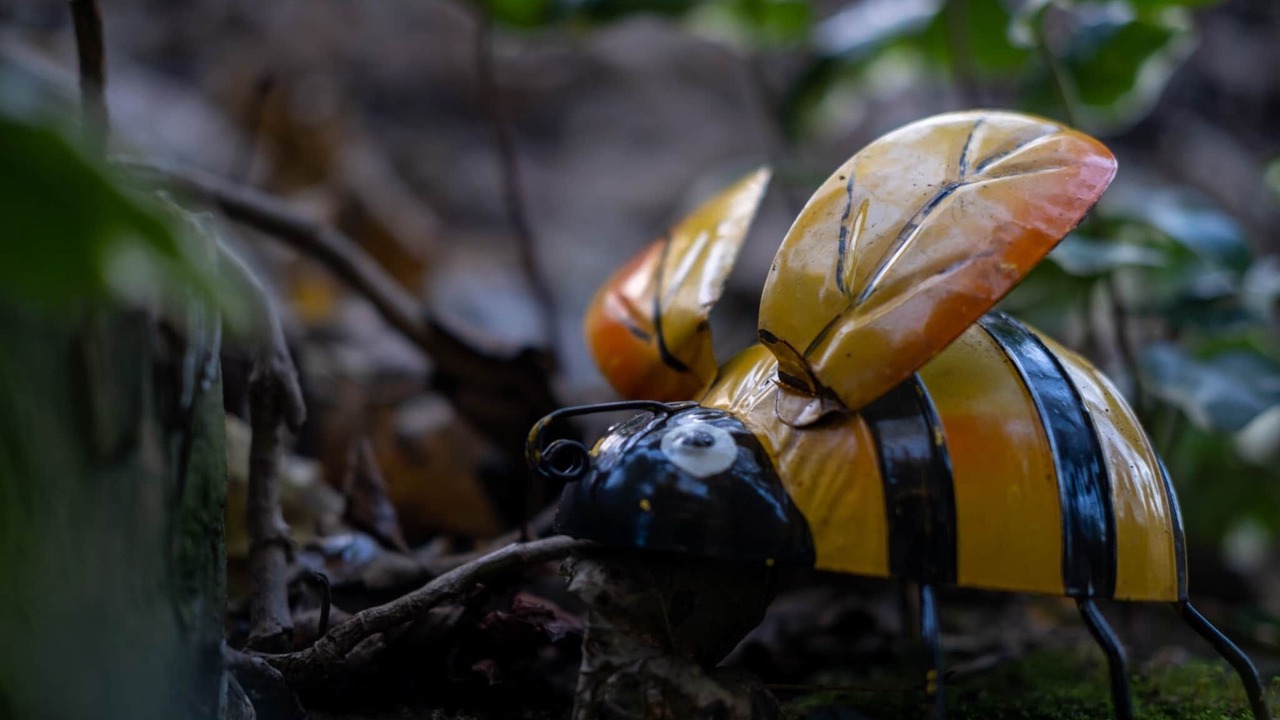 Photo of Others in Rickmansworth