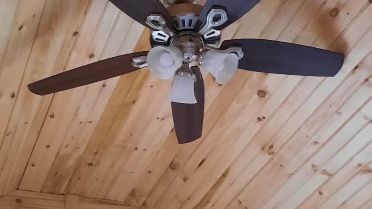 Photo of Others in Lowell