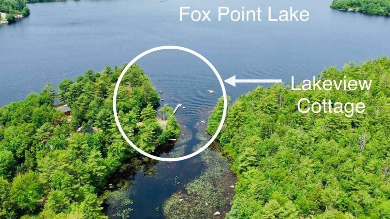 Photo of Others in Mill Cove