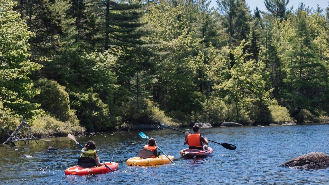 Photo of Others in Mill Cove