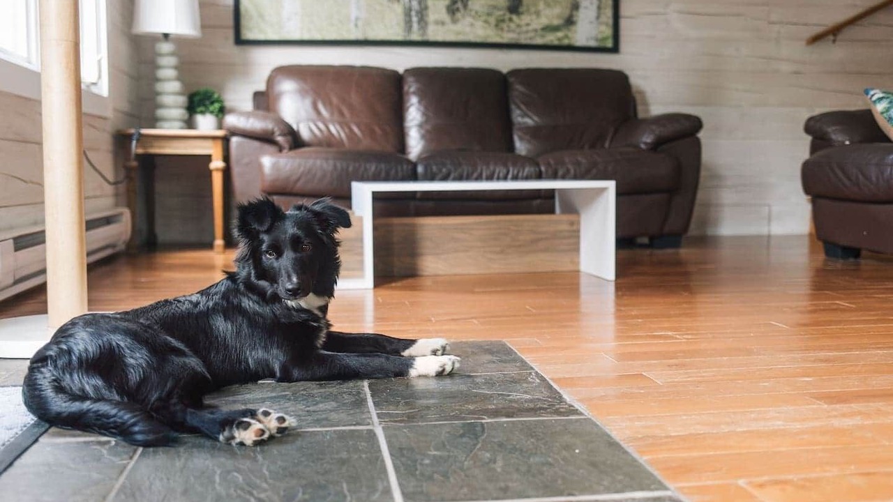 Photo of Livingroom in Mill Cove