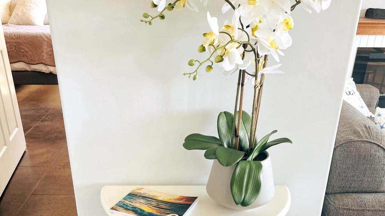 Photo of Others in Mill Cove