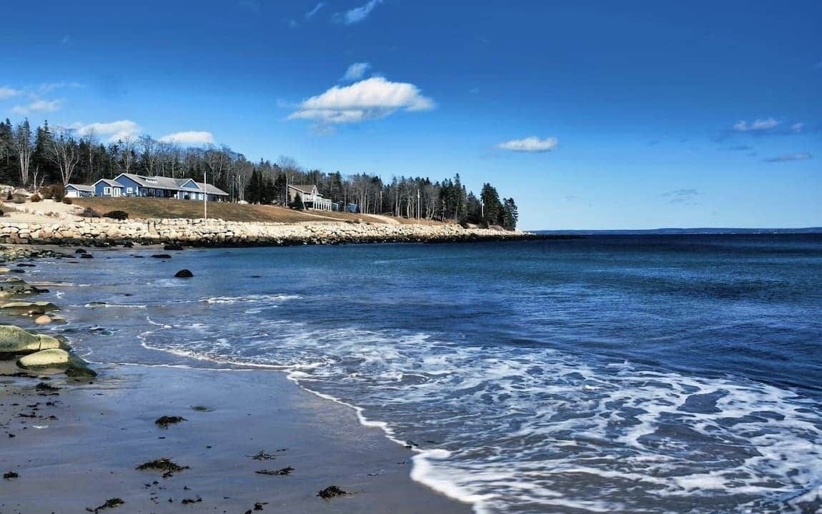 Photo of Others in Mill Cove