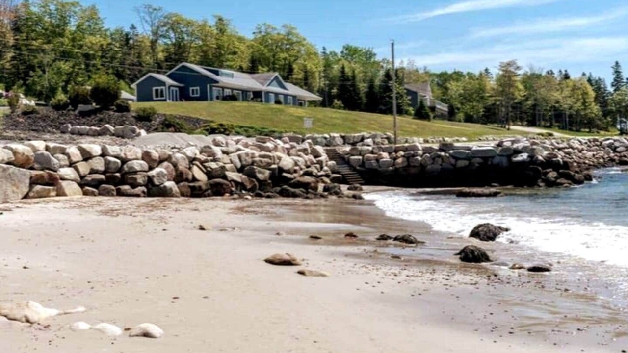 Photo of Others in Mill Cove