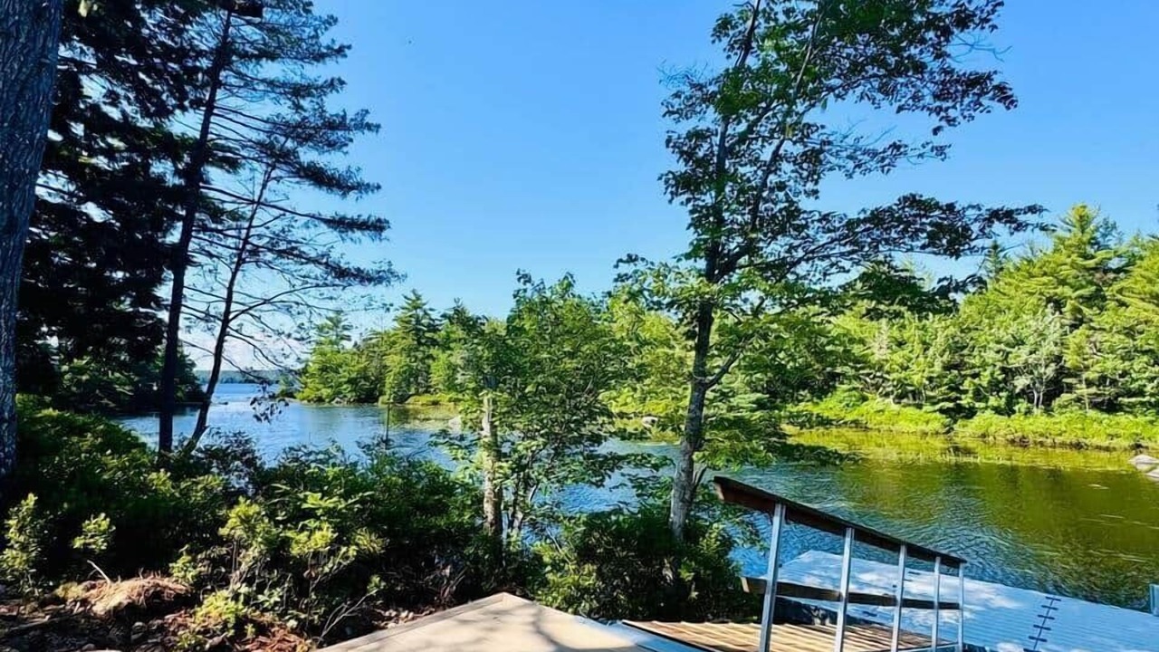 Photo of Others in Mill Cove