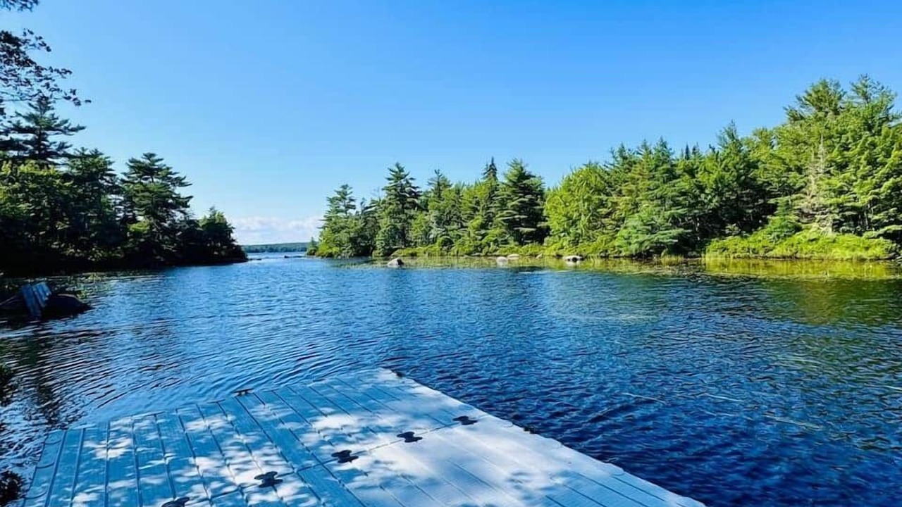 Photo of Others in Mill Cove