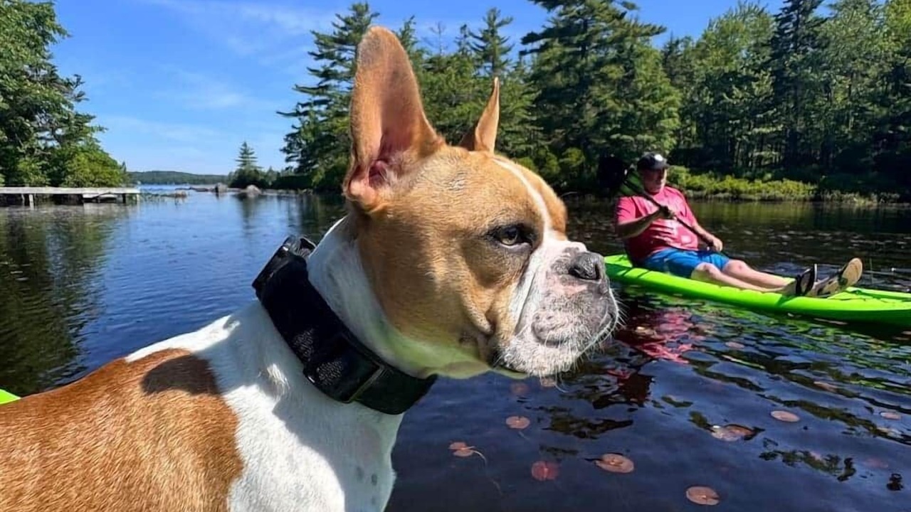 Photo of Others in Mill Cove