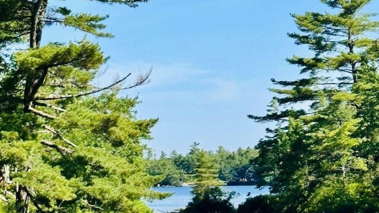 Photo of Others in Mill Cove