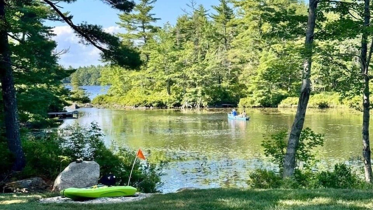 Photo of Others in Mill Cove