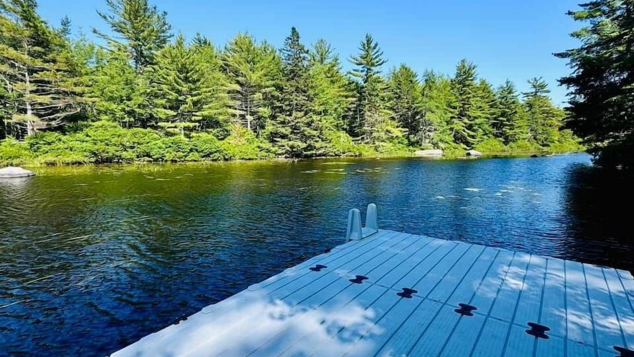 Photo of Others in Mill Cove