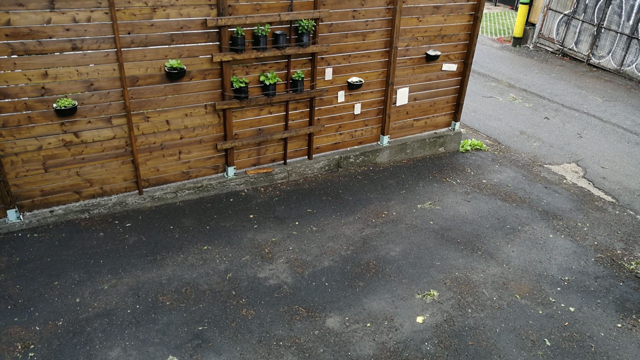 Photo of Outdoor in Little Italy