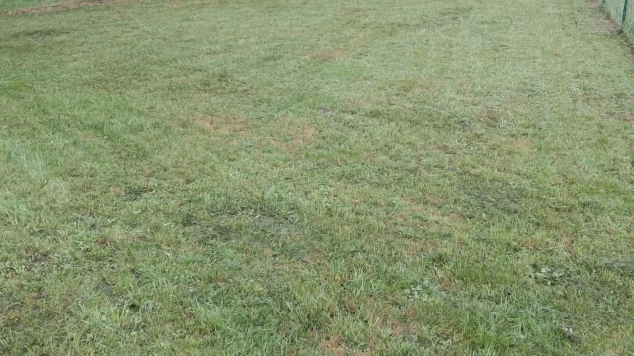 Photo of Outdoor in Bias