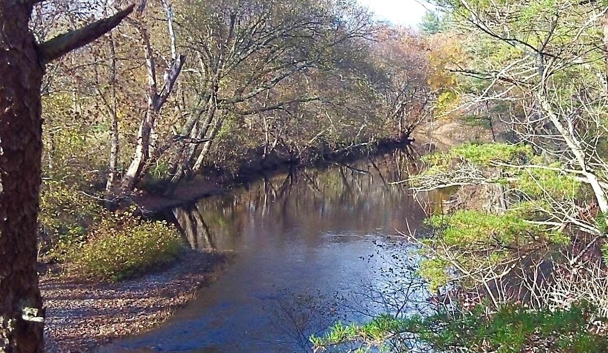 Photo of Others in Craig Creek