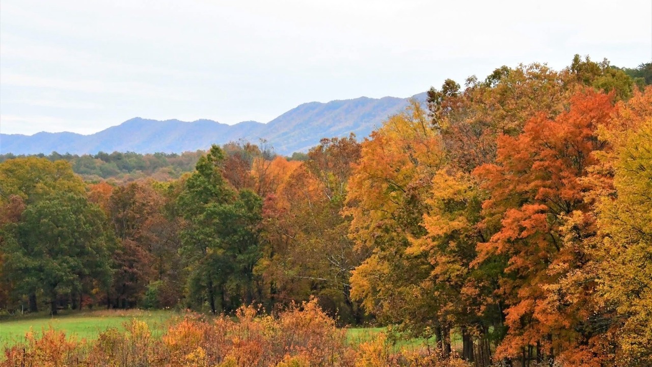 Photo of Others in Craig Creek