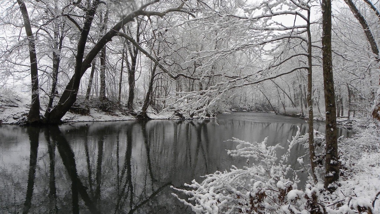 Photo of Others in Craig Creek