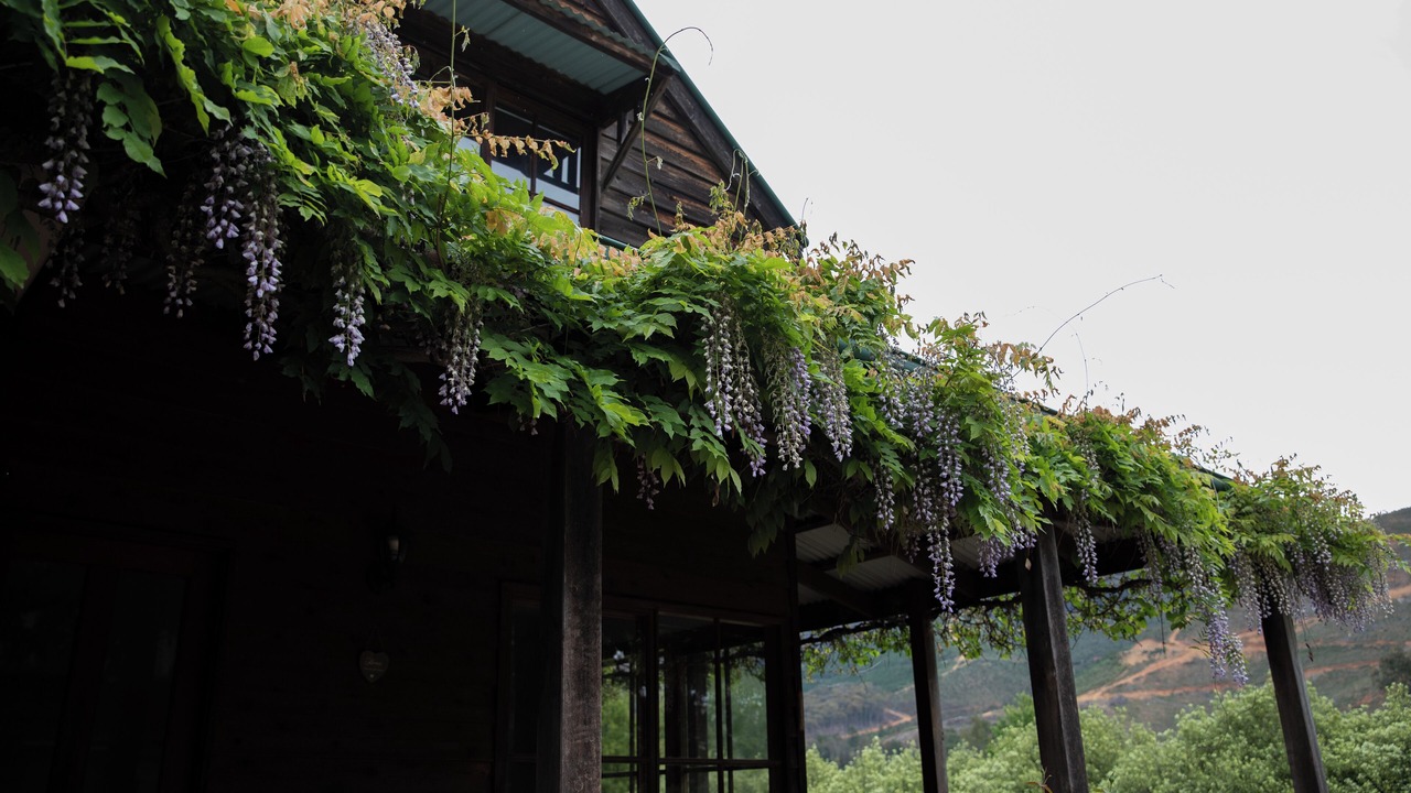 Photo of Outdoor in Wandiligong