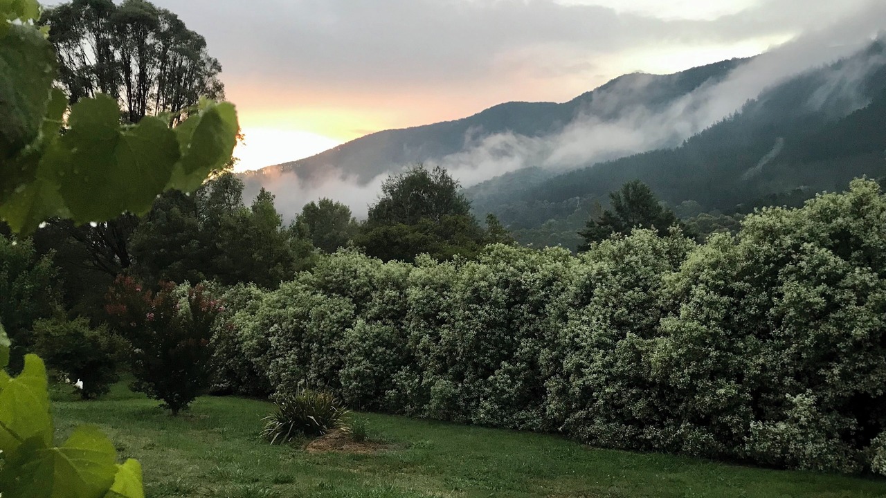 Photo of Others in Wandiligong