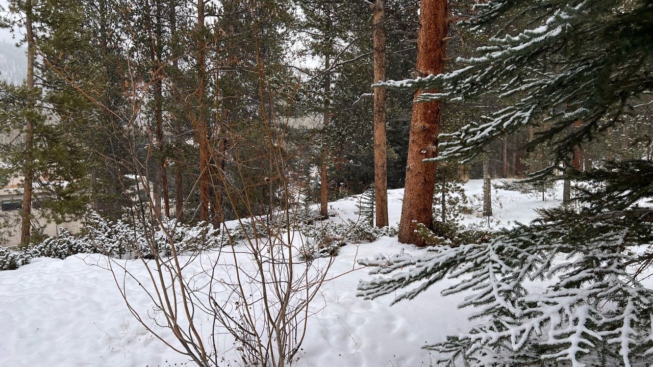 Photo of Outdoor in Lakeside Village