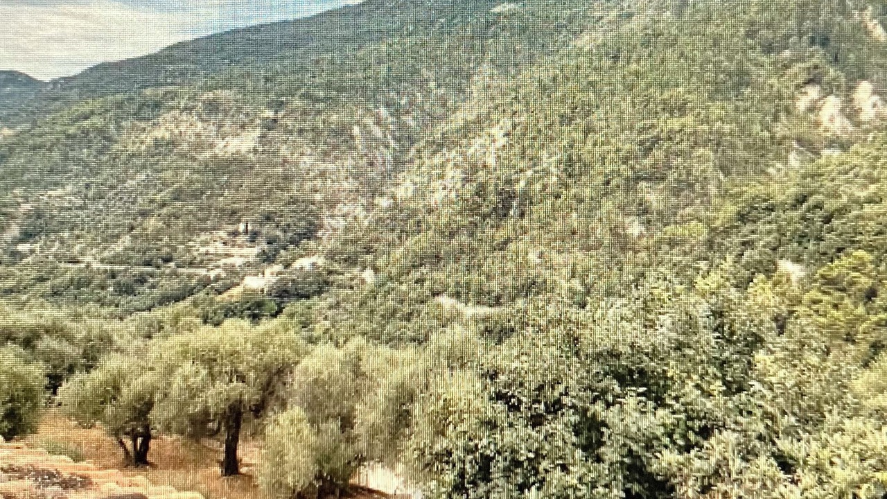 Photo of Others in Coaraze