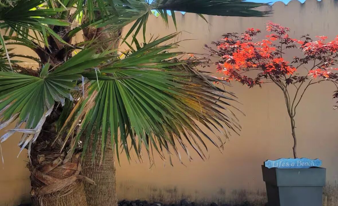 Photo of Outdoor in Murviel-les-Montpellier