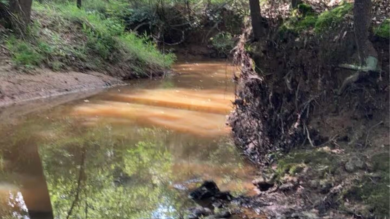 Photo of Others in Grand Saline