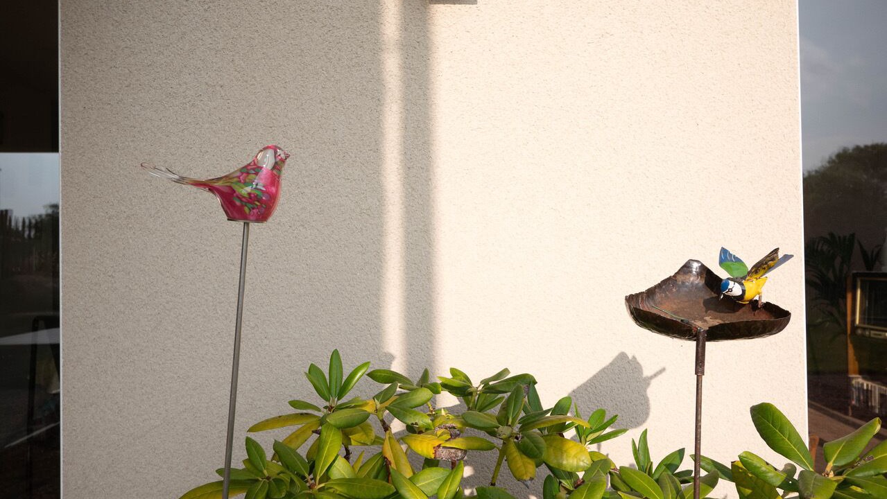 Photo of Outdoor in Le Bo