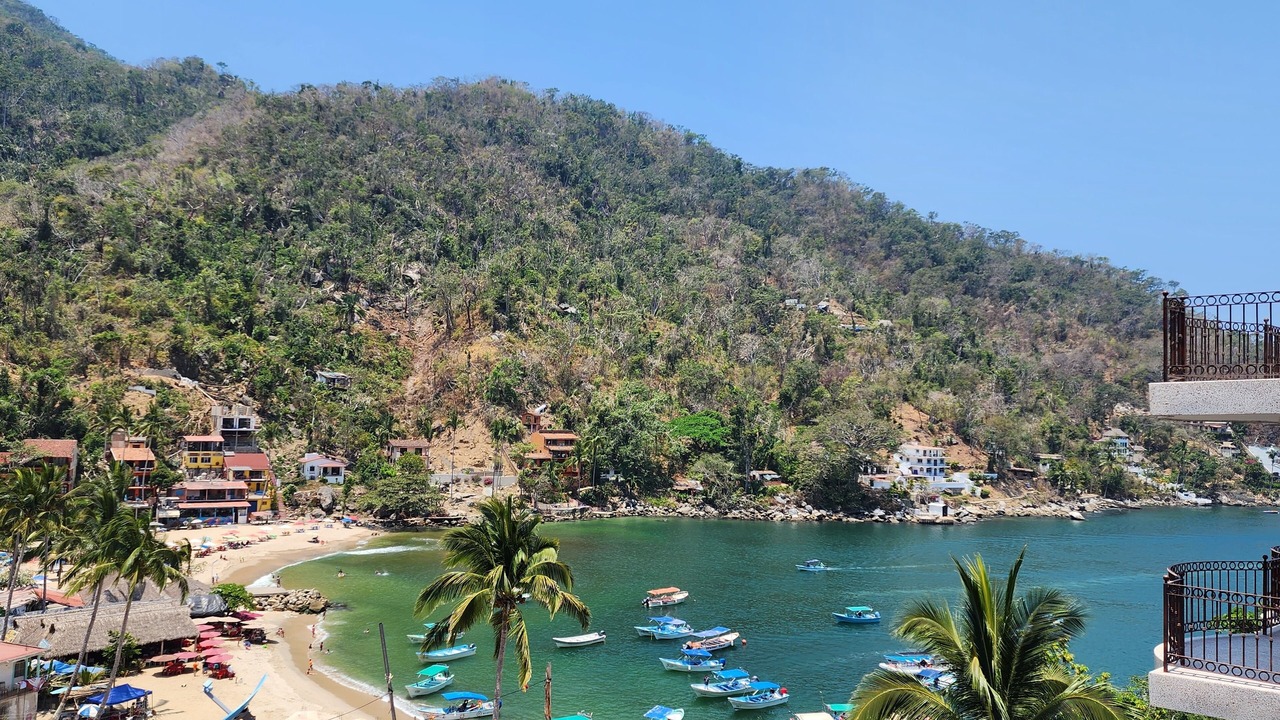 Photo of Others in Boca de Tomatlan