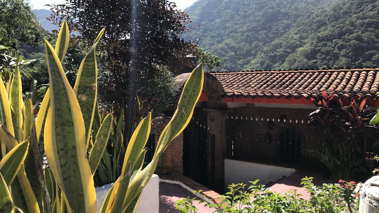 Photo of Outdoor in Boca de Tomatlan