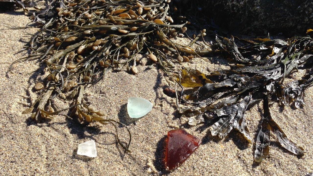 Photo of Others in East Boothbay