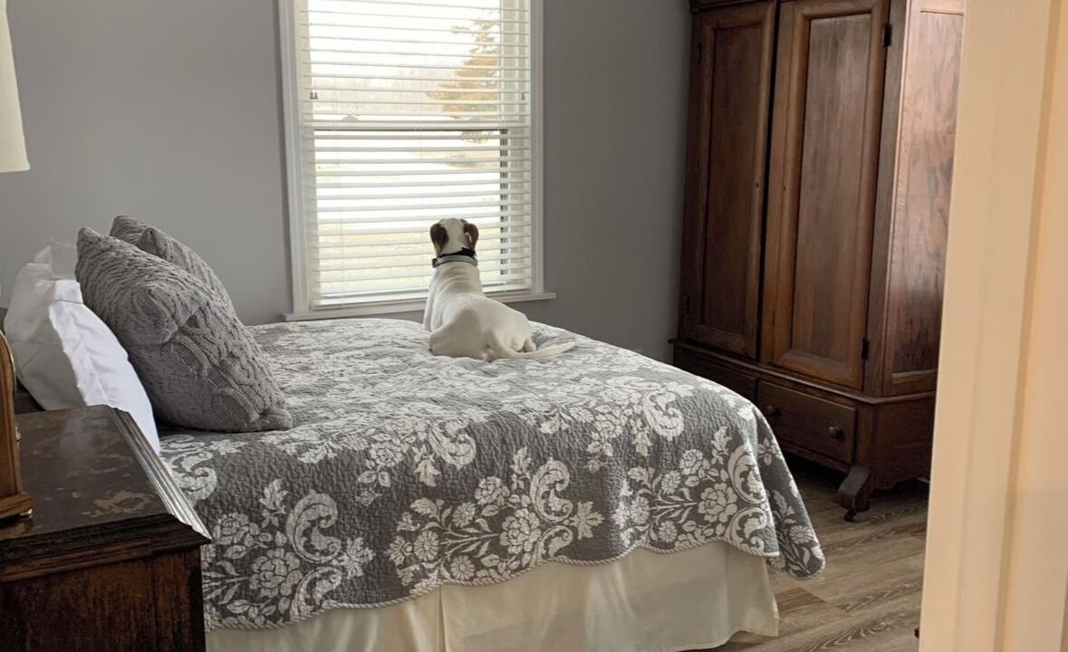 Photo of Bedroom in Winfield