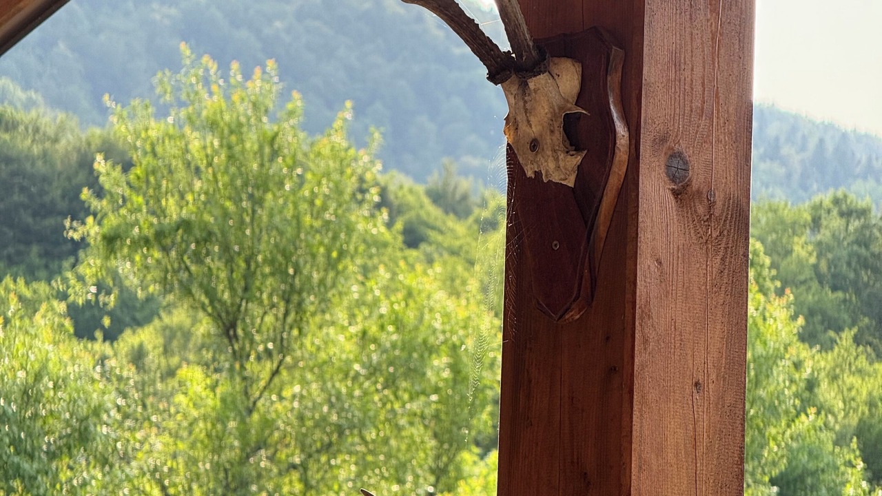 Photo of Outdoor in Senj