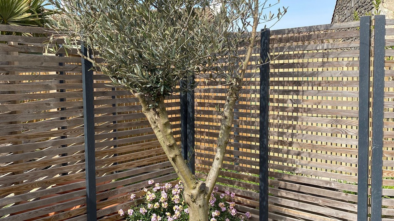 Photo of Outdoor in Le Grand-Village-Plage