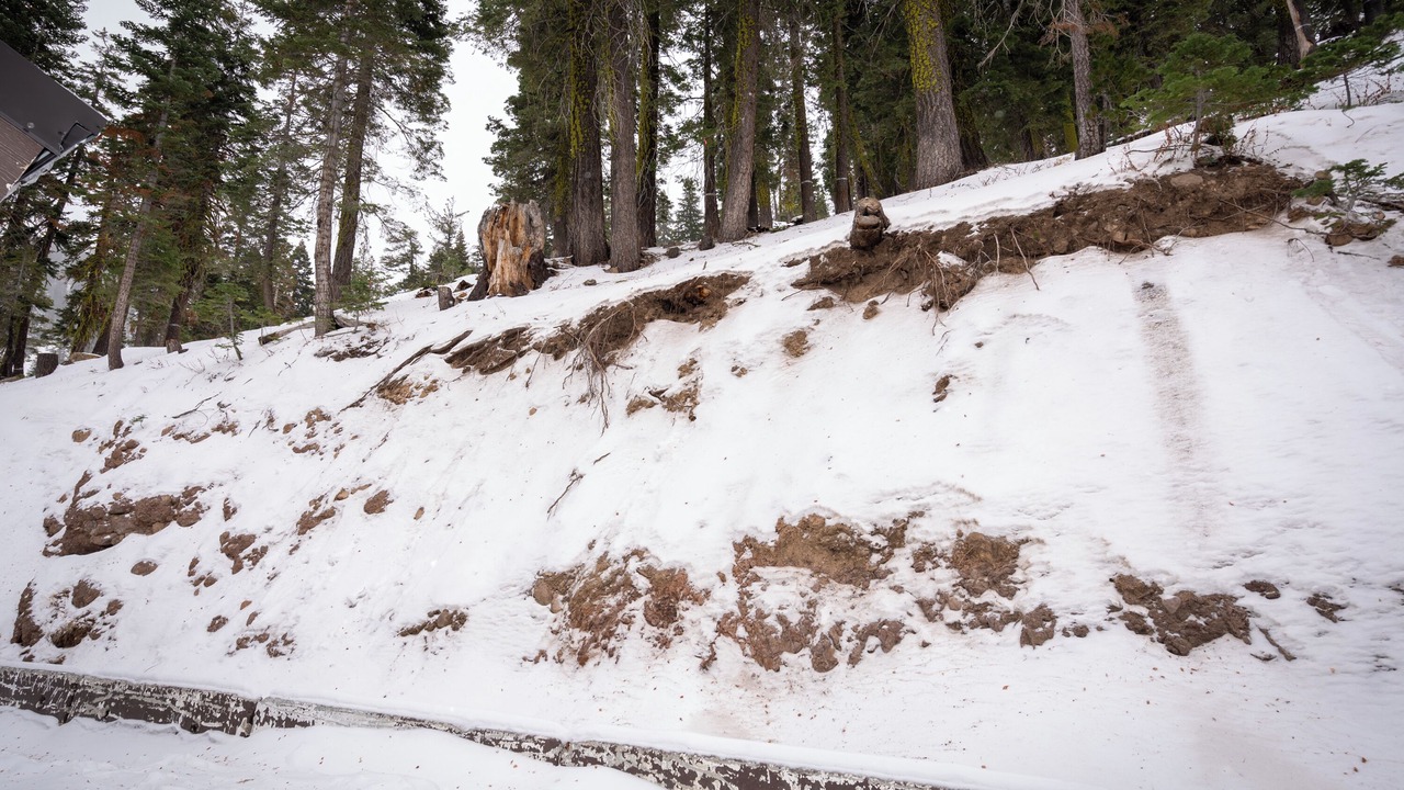 Photo of Others in Alpine Meadows
