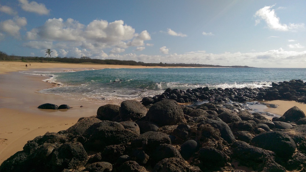 Photo of Others in Maunaloa