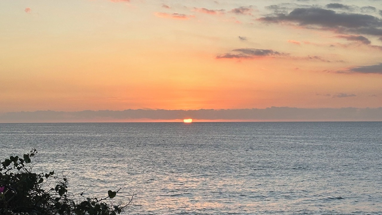 Photo of Others in Maunaloa