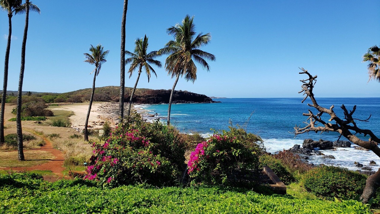 Photo of Others in Maunaloa