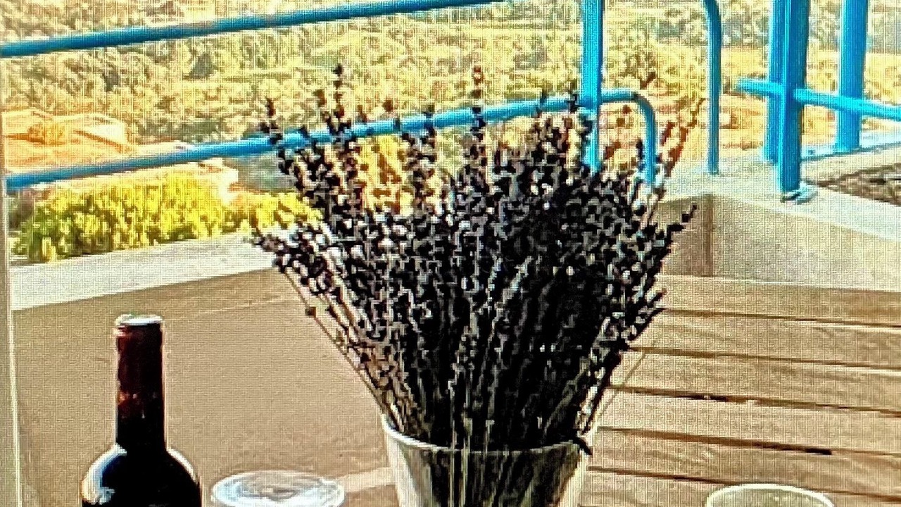 Photo of Outdoor in Tanneron