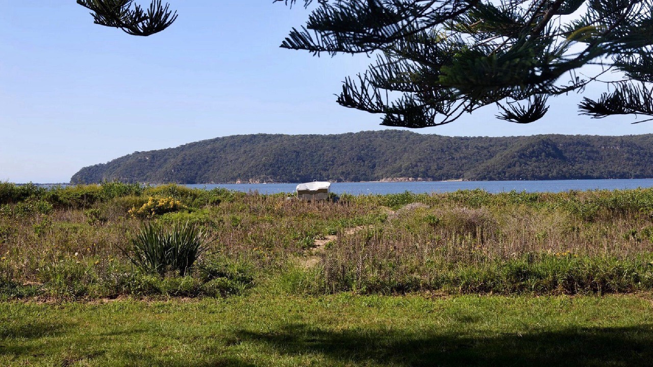 Photo of Others in Patonga