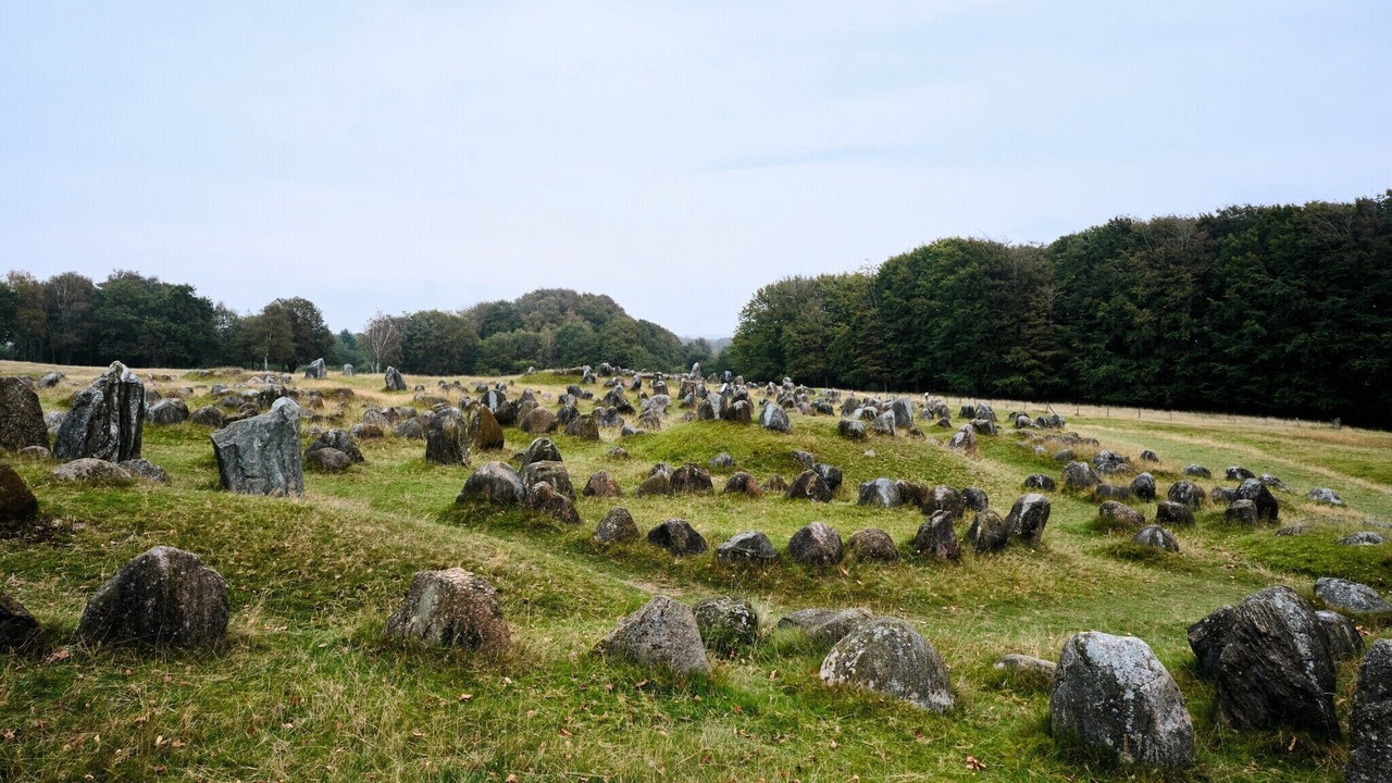 Photo of Others in Aalborg