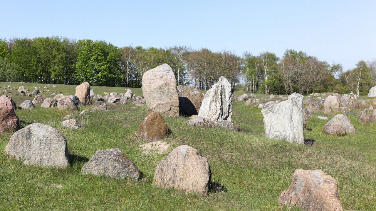 Photo of Others in Aalborg